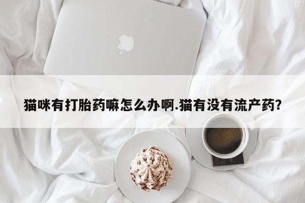 堕胎药药店购买微信联系方式猫咪有打胎药嘛怎么办啊.猫有没有流产药？